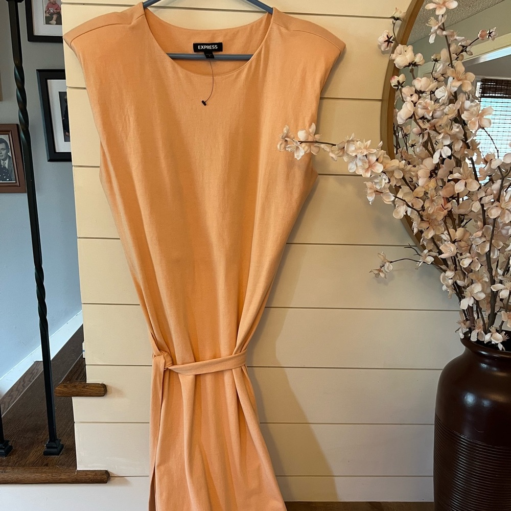 Coral Express midi dress